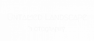 Untamed Landscape Logo